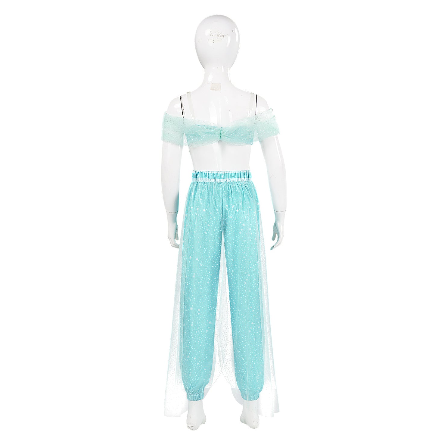 Princess Jasmine Costume