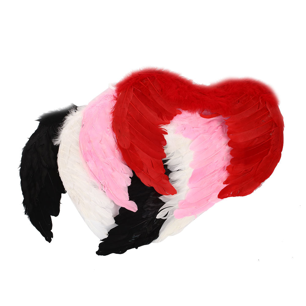 Adult Angel Wing