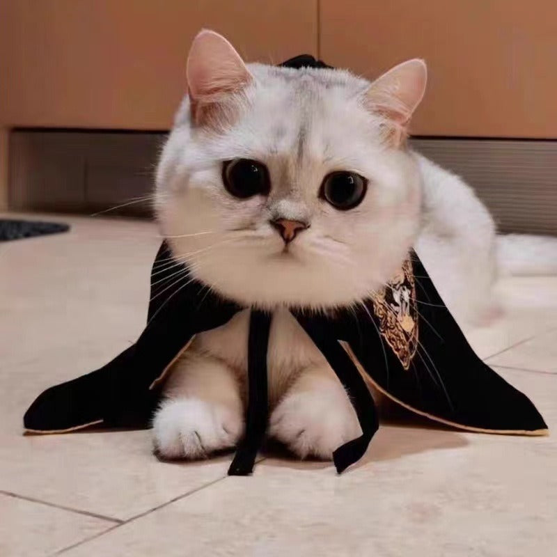 Cute cloak Halloween pet costume