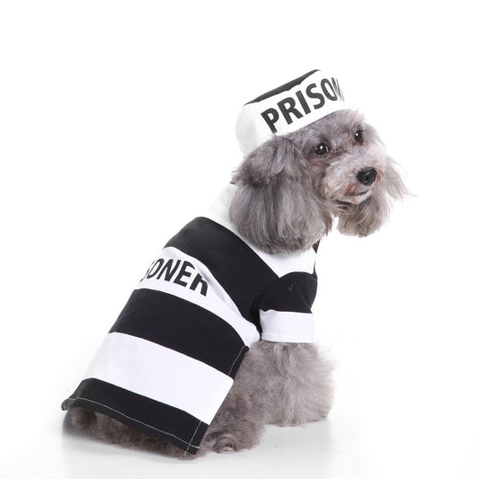 Dog costume