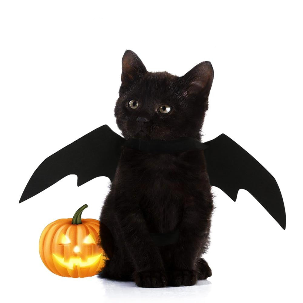 Halloween Bat Wing Clothes  Cat