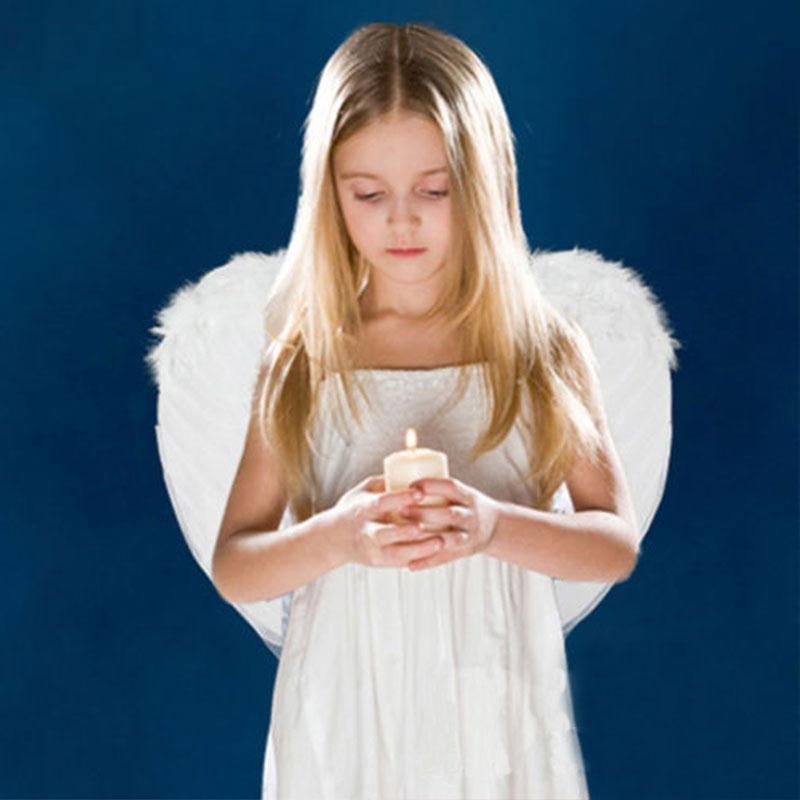 Adult Angel Wing