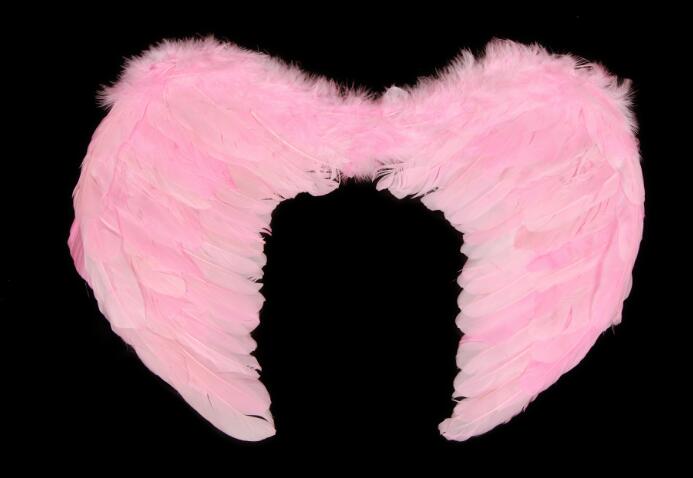Adult Angel Wing