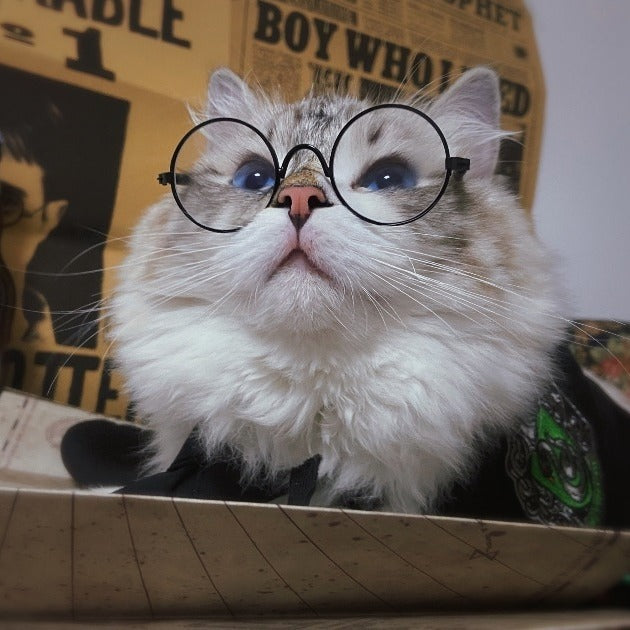 Cute cloak Halloween pet costume