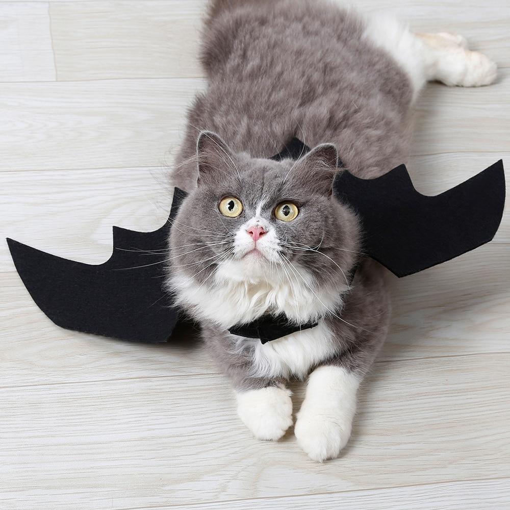 Halloween Bat Wing Clothes  Cat