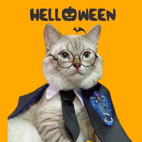 Cute cloak Halloween pet costume
