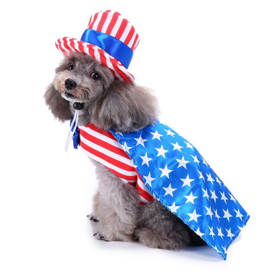Dog costume