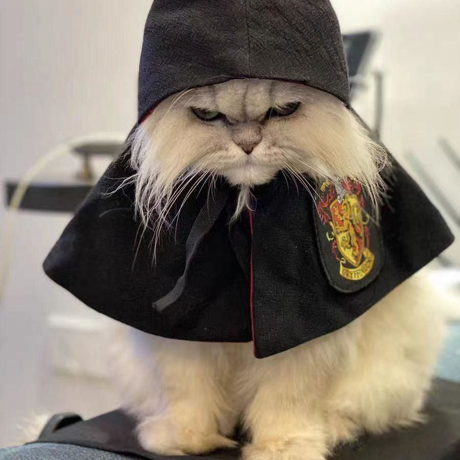 Cute cloak Halloween pet costume