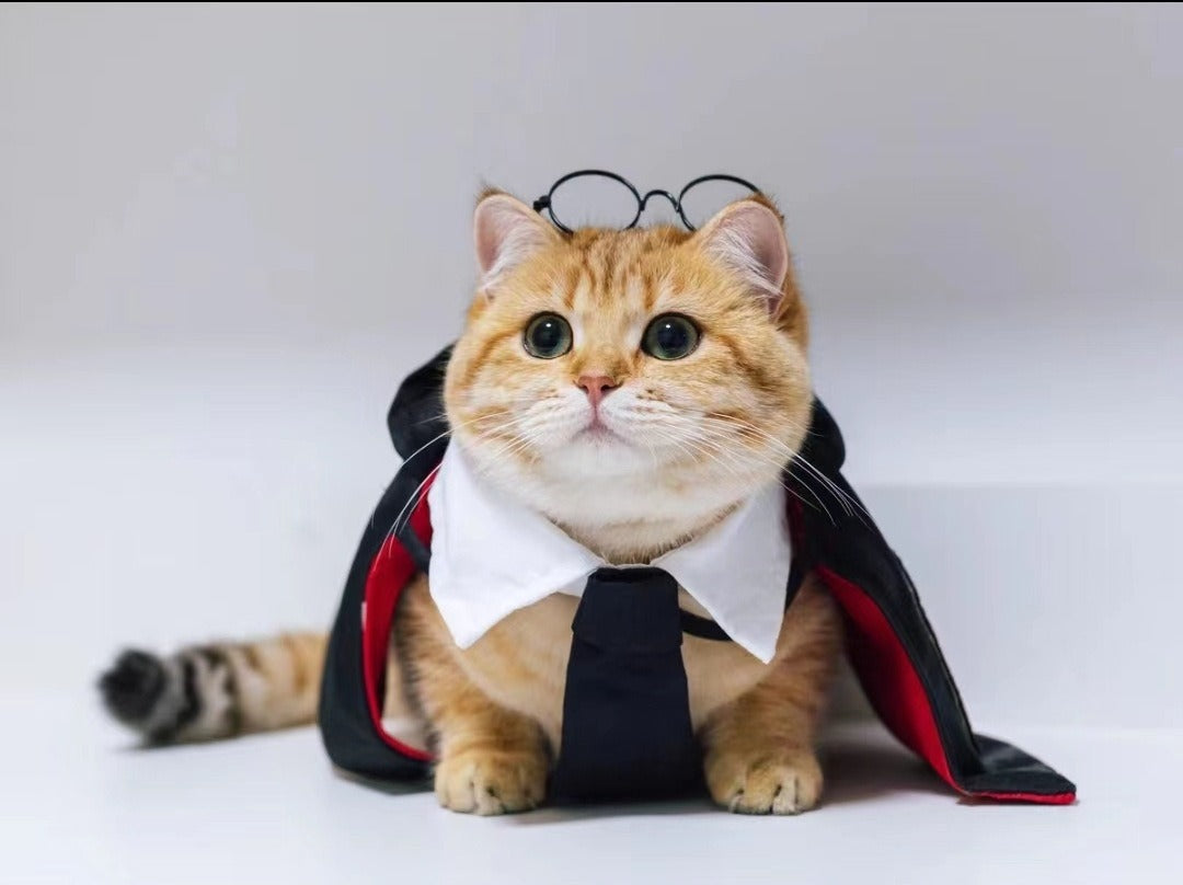 Cute cloak Halloween pet costume